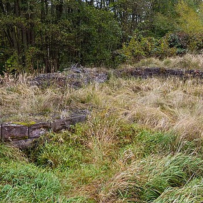 Photo de Château Saint-Rémy dAltenstadt