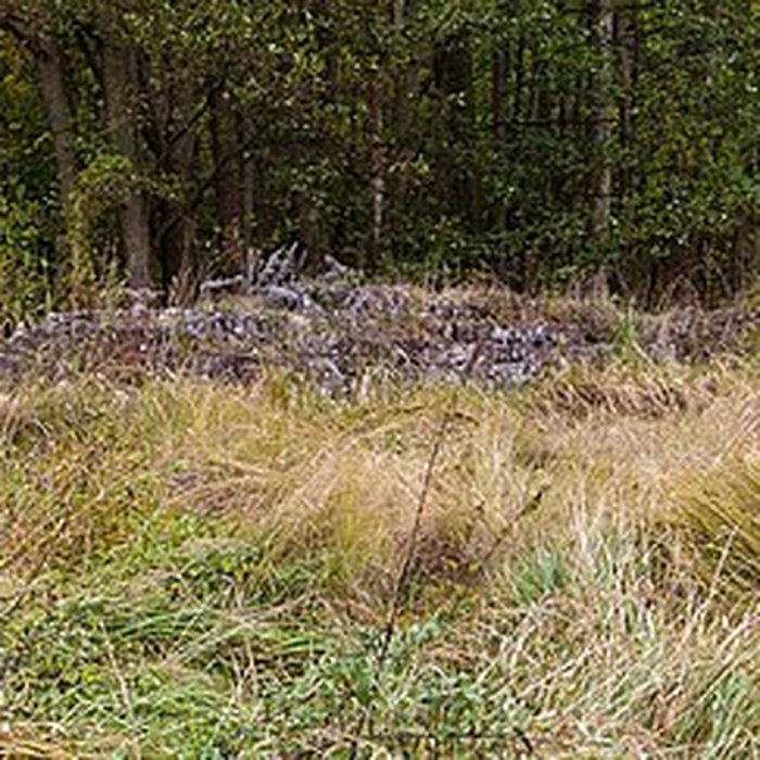Photo de Château Saint-Rémy dAltenstadt