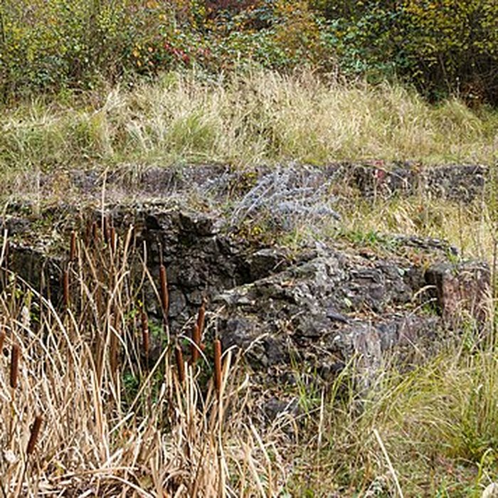 Photo de Château Saint-Rémy dAltenstadt