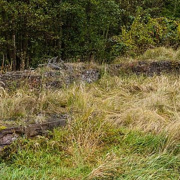 Château Saint-Rémy dAltenstadt
