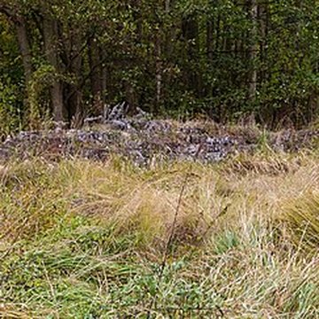 Château Saint-Rémy dAltenstadt