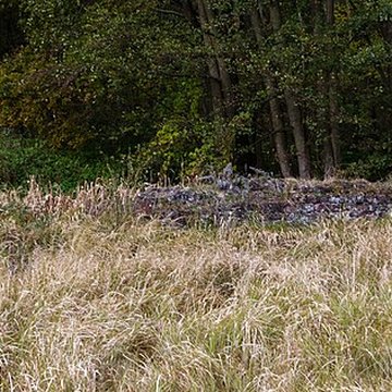 Château Saint-Rémy dAltenstadt