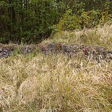 Château Saint-Rémy dAltenstadt