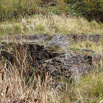 Château Saint-Rémy dAltenstadt
