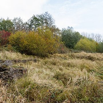 Château Saint-Rémy dAltenstadt