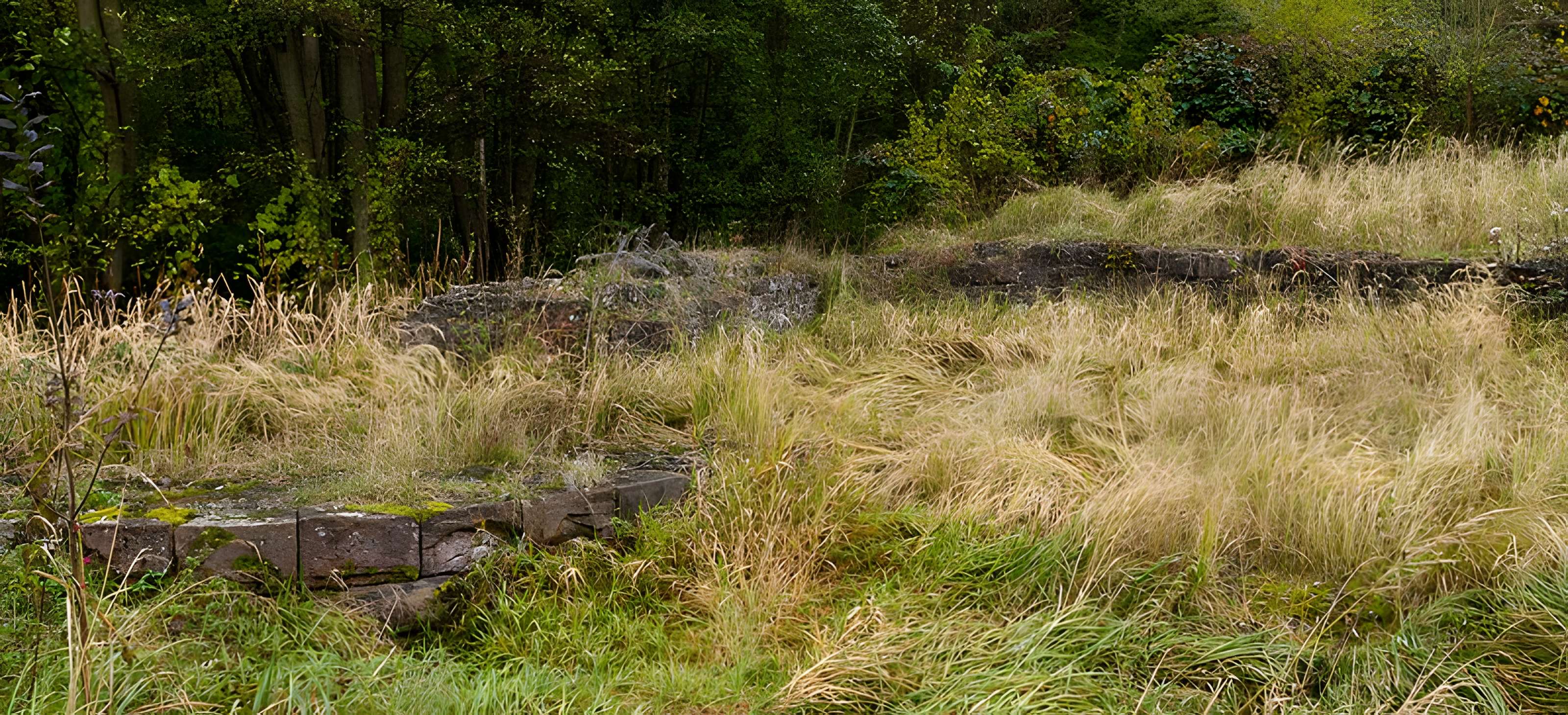 Château Saint-Rémy d'Altenstadt