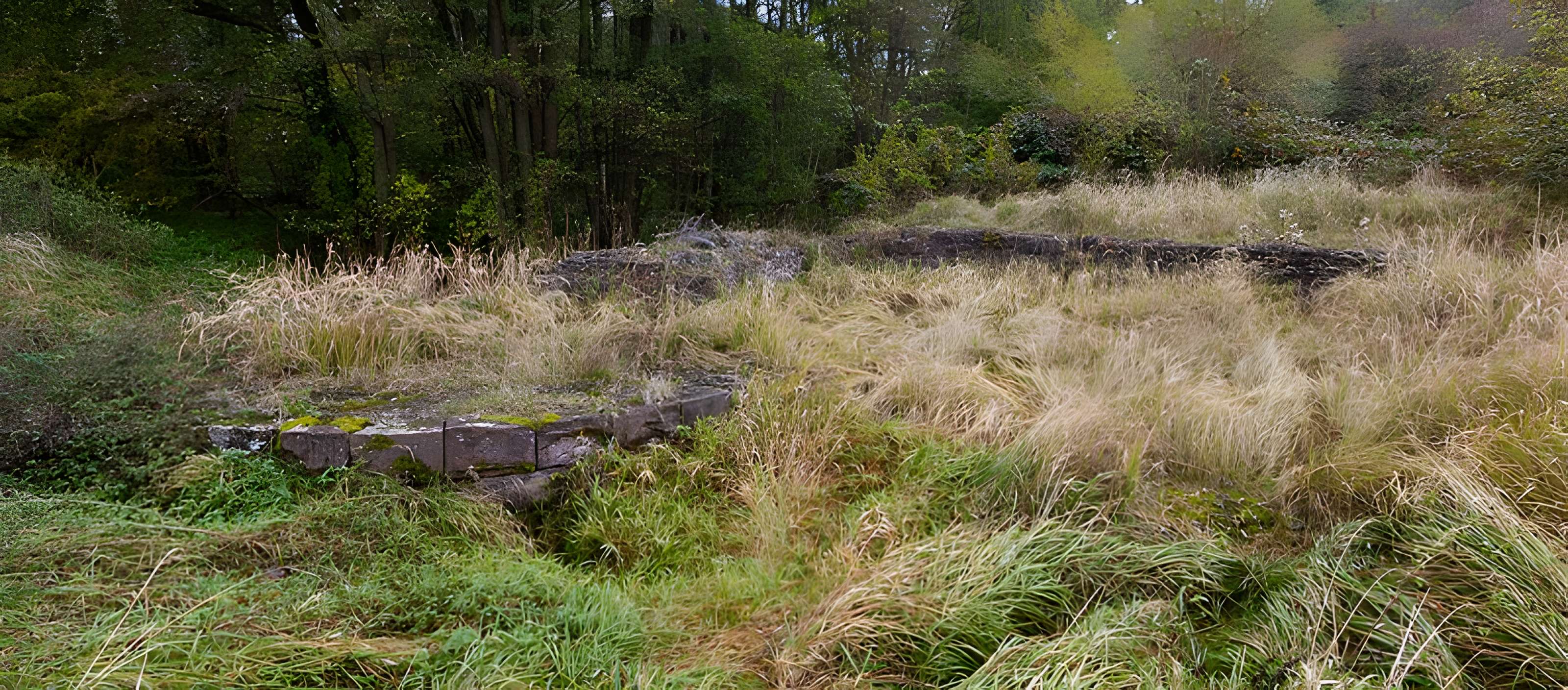 Château Saint-Rémy d'Altenstadt