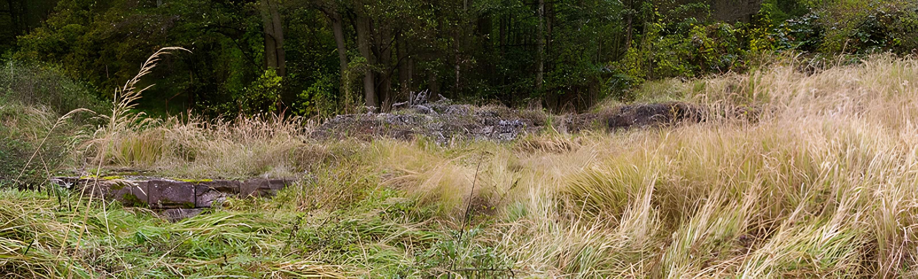 Château Saint-Rémy d'Altenstadt