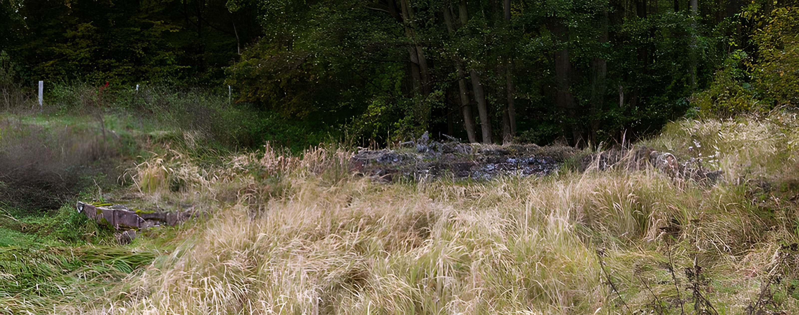 Château Saint-Rémy d'Altenstadt