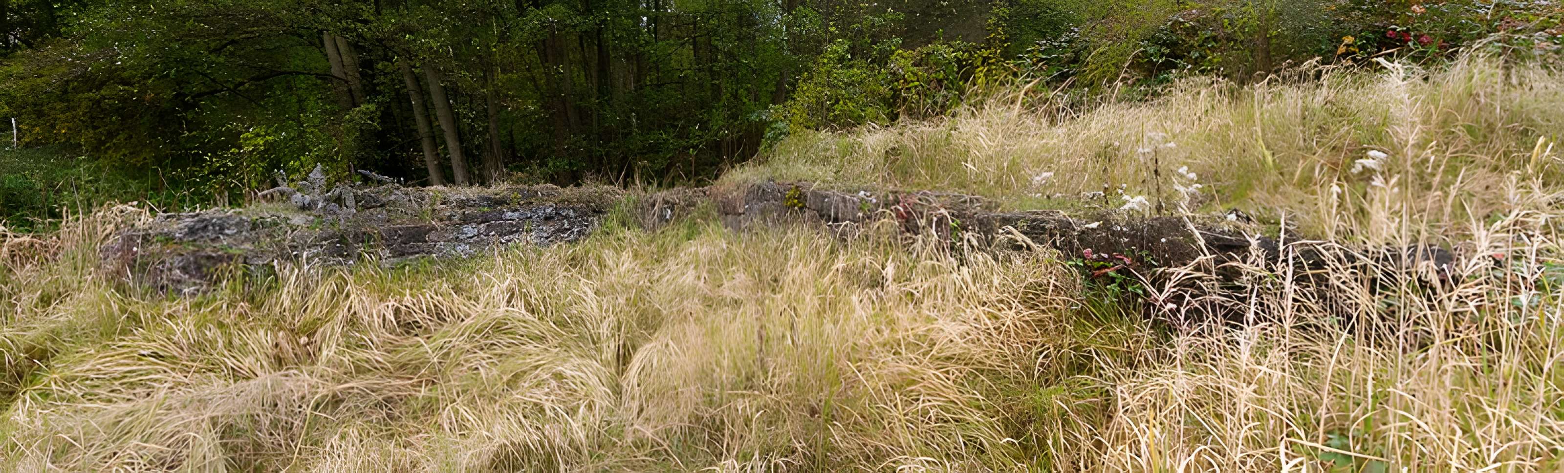 Château Saint-Rémy d'Altenstadt