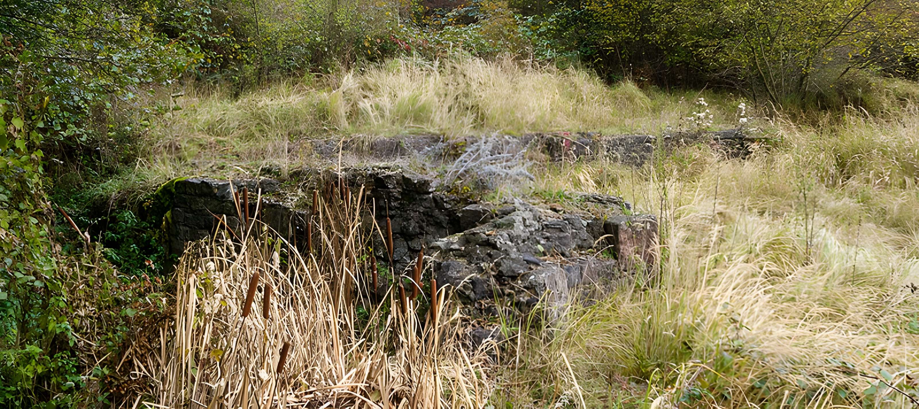 Château Saint-Rémy d'Altenstadt