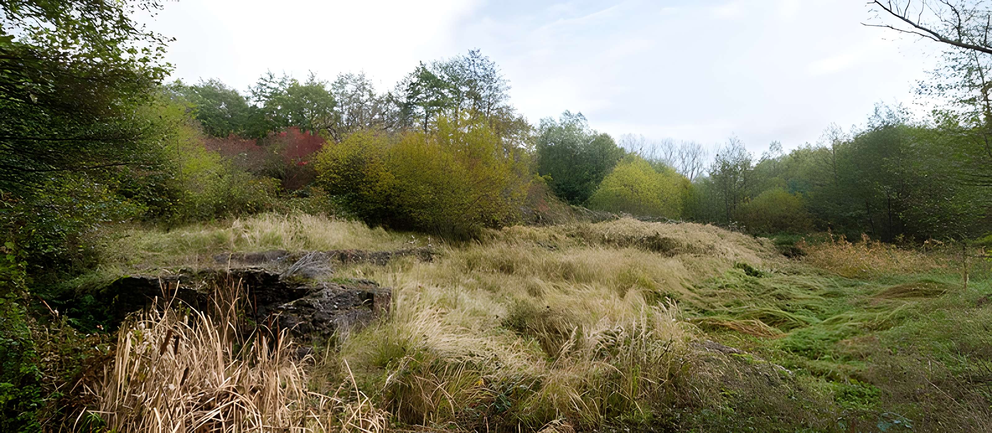 Château Saint-Rémy d'Altenstadt