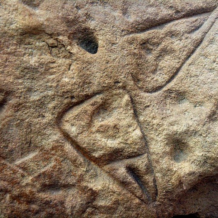 Photo de Gisement préhistorique de la Ferrassie à Savignac-de-Miremont