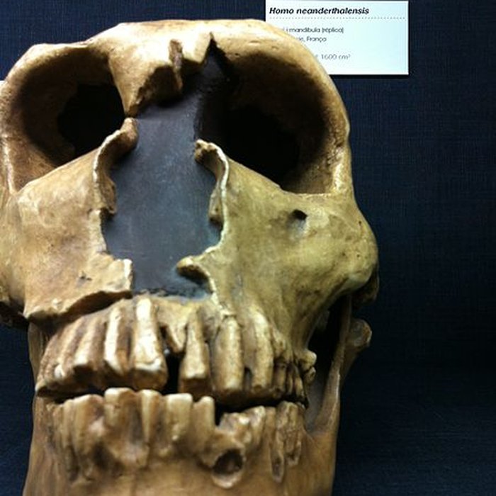 Photo de Gisement préhistorique de la Ferrassie à Savignac-de-Miremont