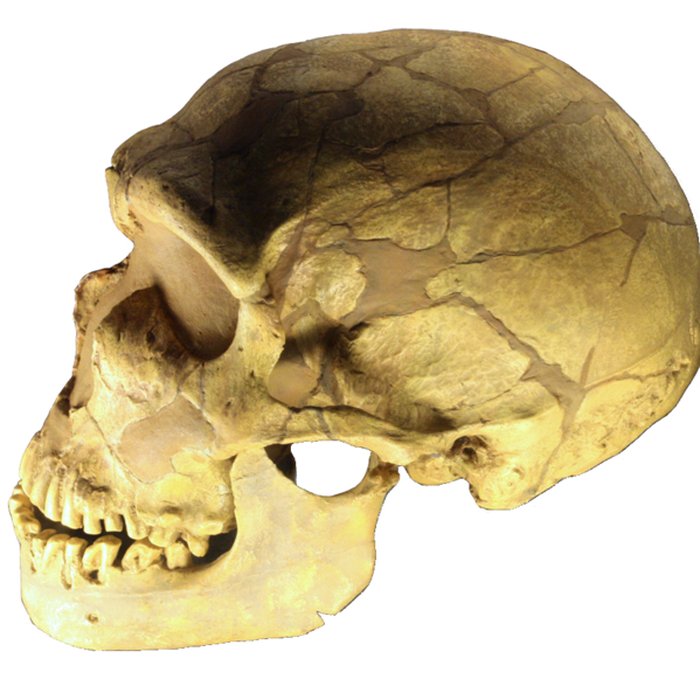 Photo de Gisement préhistorique de la Ferrassie à Savignac-de-Miremont