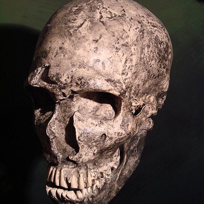 Photo de Gisement préhistorique de la Ferrassie à Savignac-de-Miremont