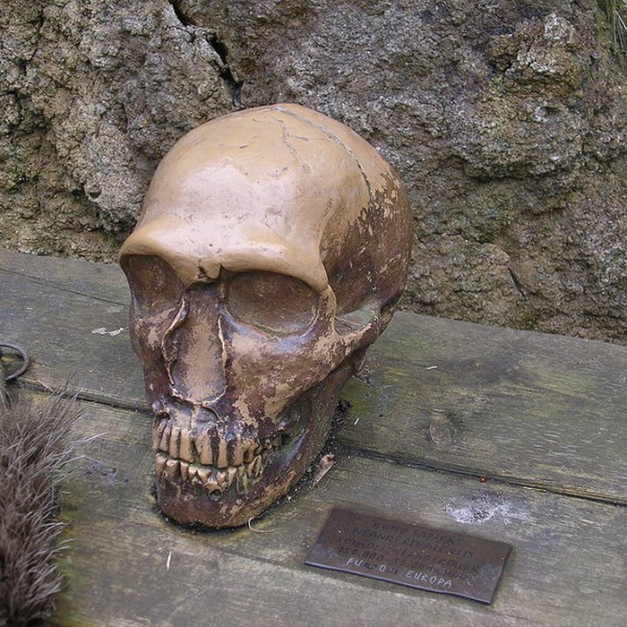 Photo de Gisement préhistorique de la Ferrassie à Savignac-de-Miremont