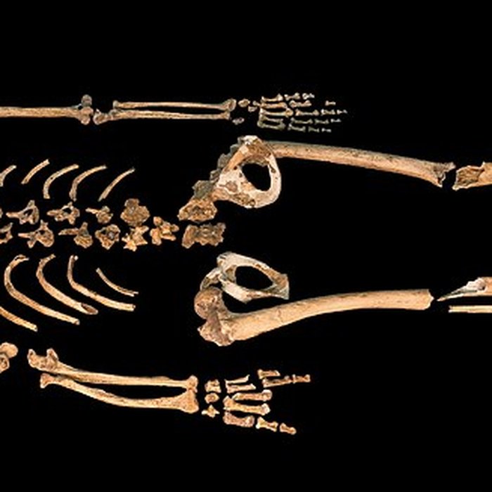 Photo de Gisement préhistorique de la Ferrassie à Savignac-de-Miremont