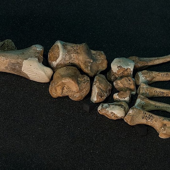 Photo de Gisement préhistorique de la Ferrassie à Savignac-de-Miremont