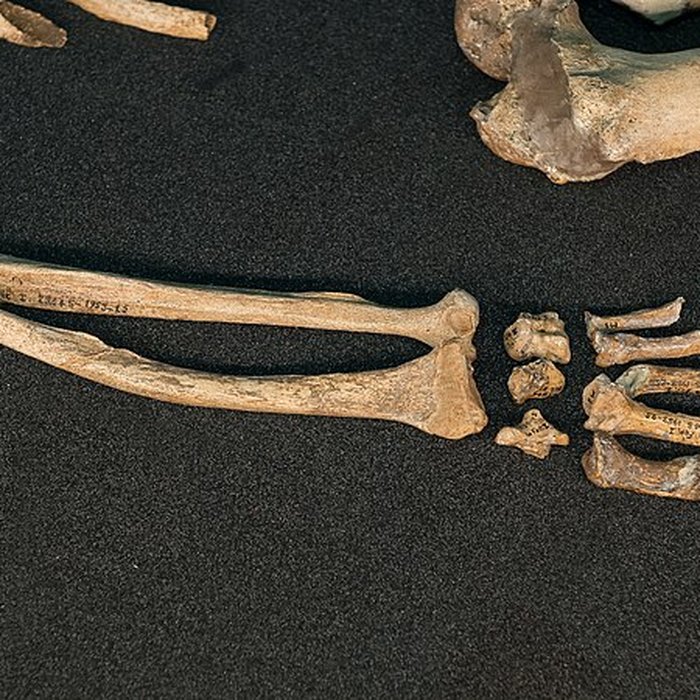 Photo de Gisement préhistorique de la Ferrassie à Savignac-de-Miremont