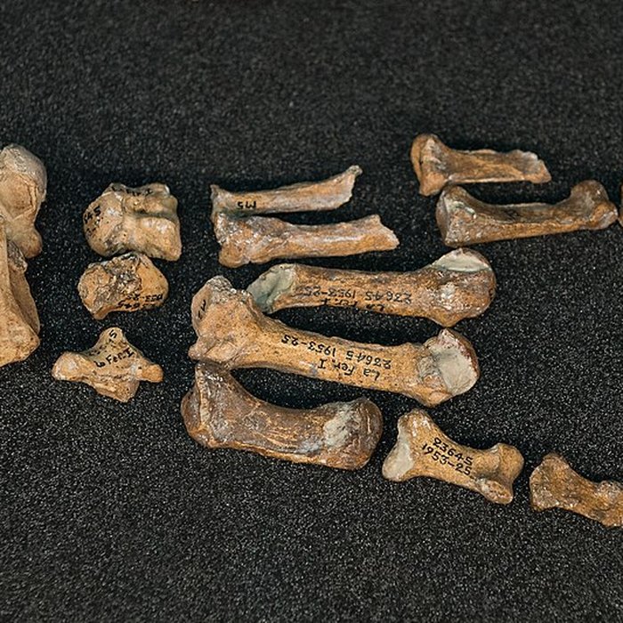 Photo de Gisement préhistorique de la Ferrassie à Savignac-de-Miremont