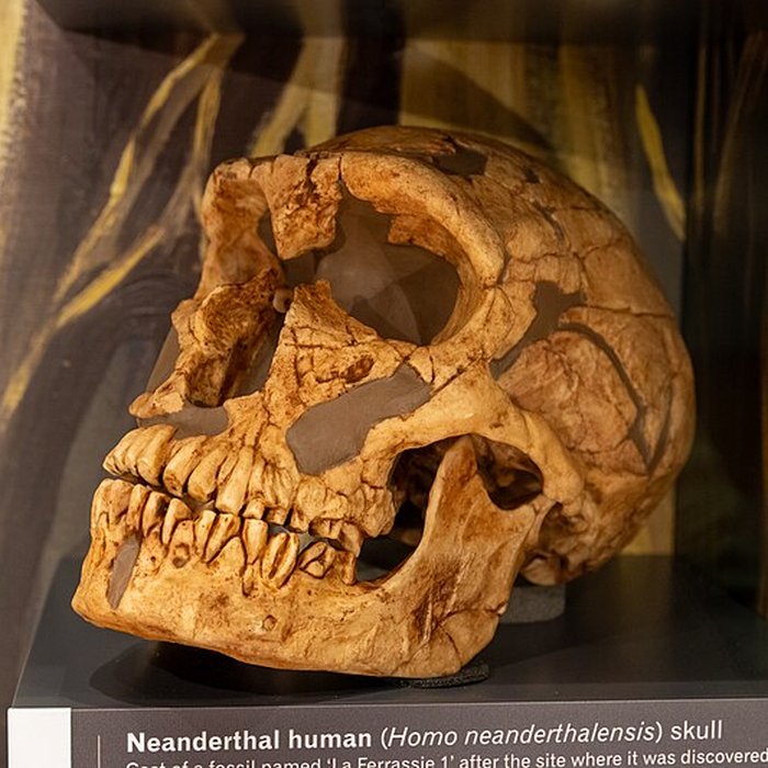 Photo de Gisement préhistorique de la Ferrassie à Savignac-de-Miremont