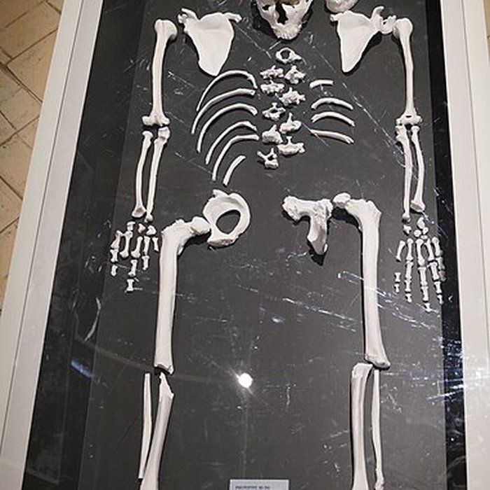 Photo de Gisement préhistorique de la Ferrassie à Savignac-de-Miremont