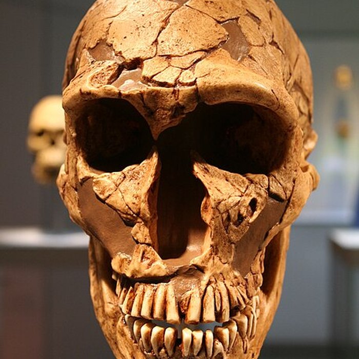 Photo de Gisement préhistorique de la Ferrassie à Savignac-de-Miremont