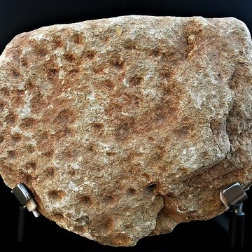 Gisement préhistorique de la Ferrassie à Savignac-de-Miremont