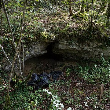 Gisement préhistorique de la Ferrassie à Savignac-de-Miremont