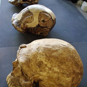 Gisement préhistorique de la Ferrassie à Savignac-de-Miremont