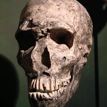 Gisement préhistorique de la Ferrassie à Savignac-de-Miremont