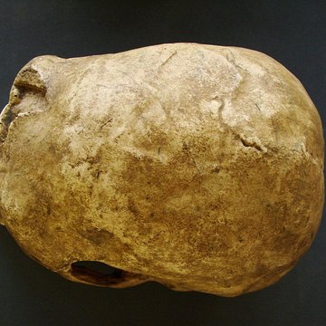 Gisement préhistorique de la Ferrassie à Savignac-de-Miremont