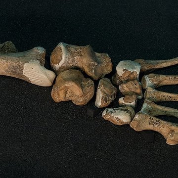 Gisement préhistorique de la Ferrassie à Savignac-de-Miremont