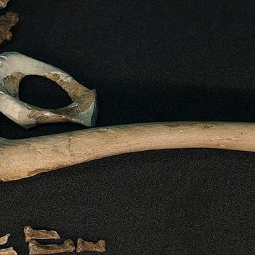 Gisement préhistorique de la Ferrassie à Savignac-de-Miremont