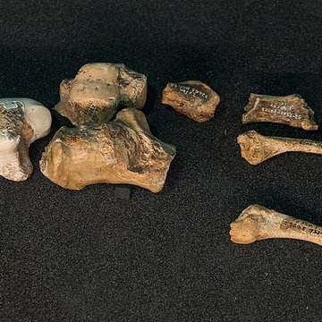 Gisement préhistorique de la Ferrassie à Savignac-de-Miremont