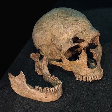 Gisement préhistorique de la Ferrassie à Savignac-de-Miremont