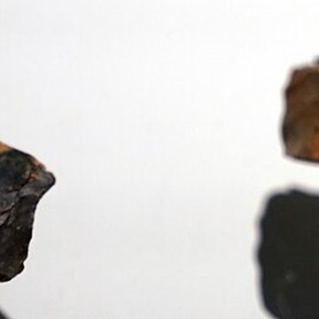 Gisement préhistorique de la Ferrassie à Savignac-de-Miremont