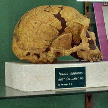 Gisement préhistorique de la Ferrassie à Savignac-de-Miremont