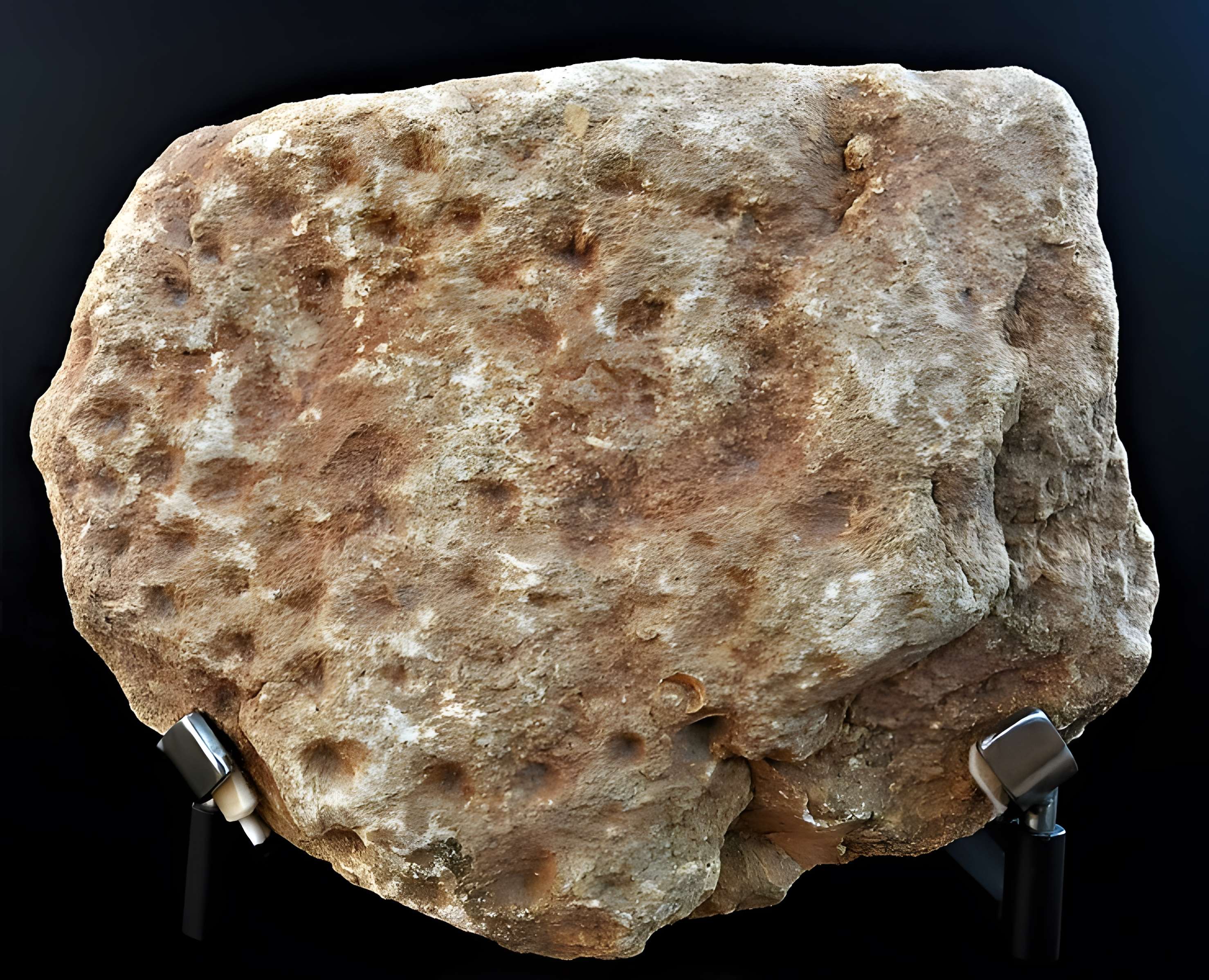 Gisement préhistorique de la Ferrassie à Savignac-de-Miremont