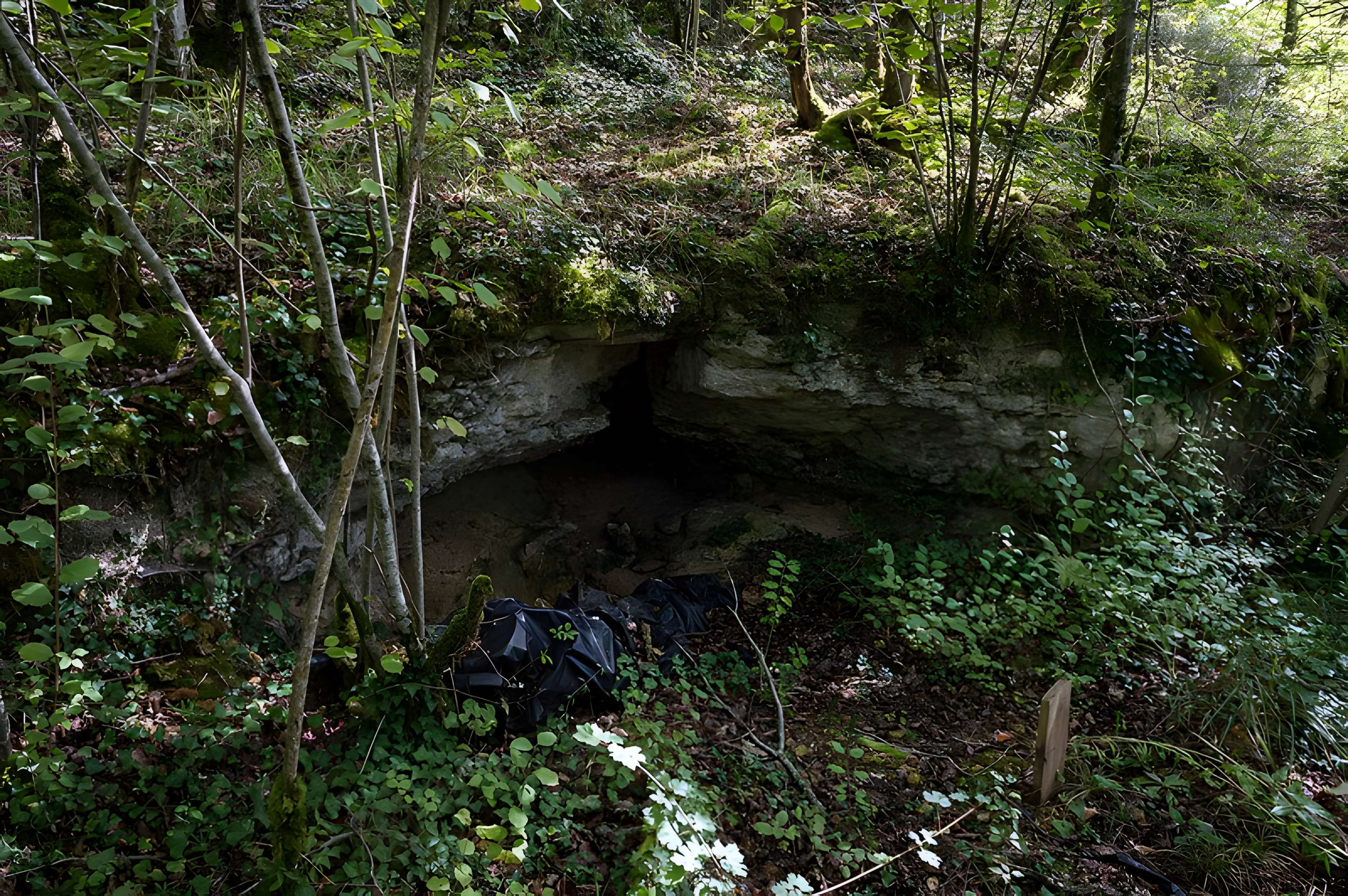 Gisement préhistorique de la Ferrassie à Savignac-de-Miremont