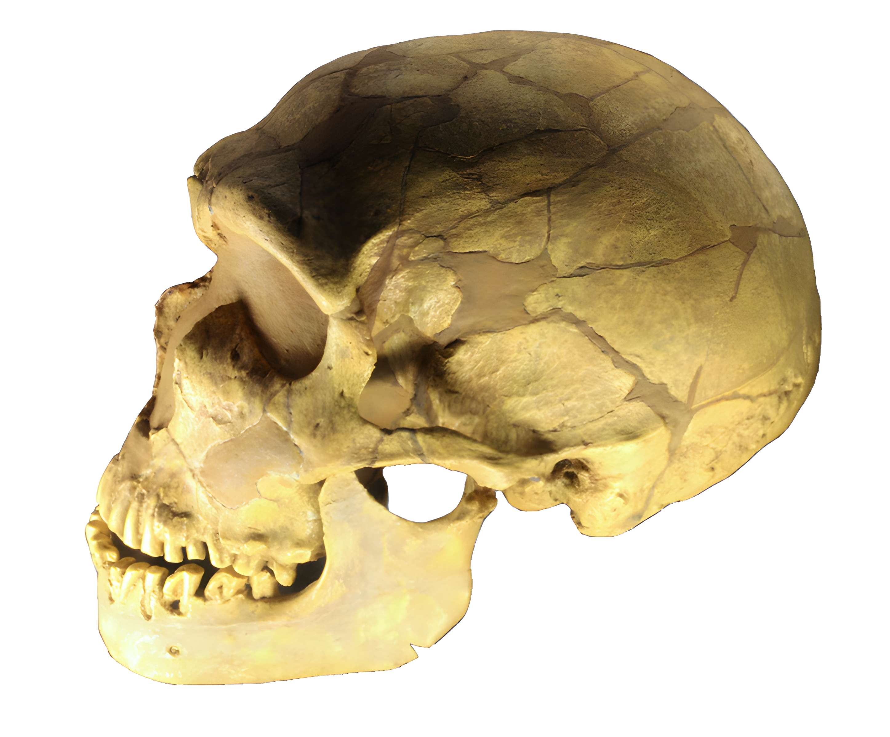 Gisement préhistorique de la Ferrassie à Savignac-de-Miremont