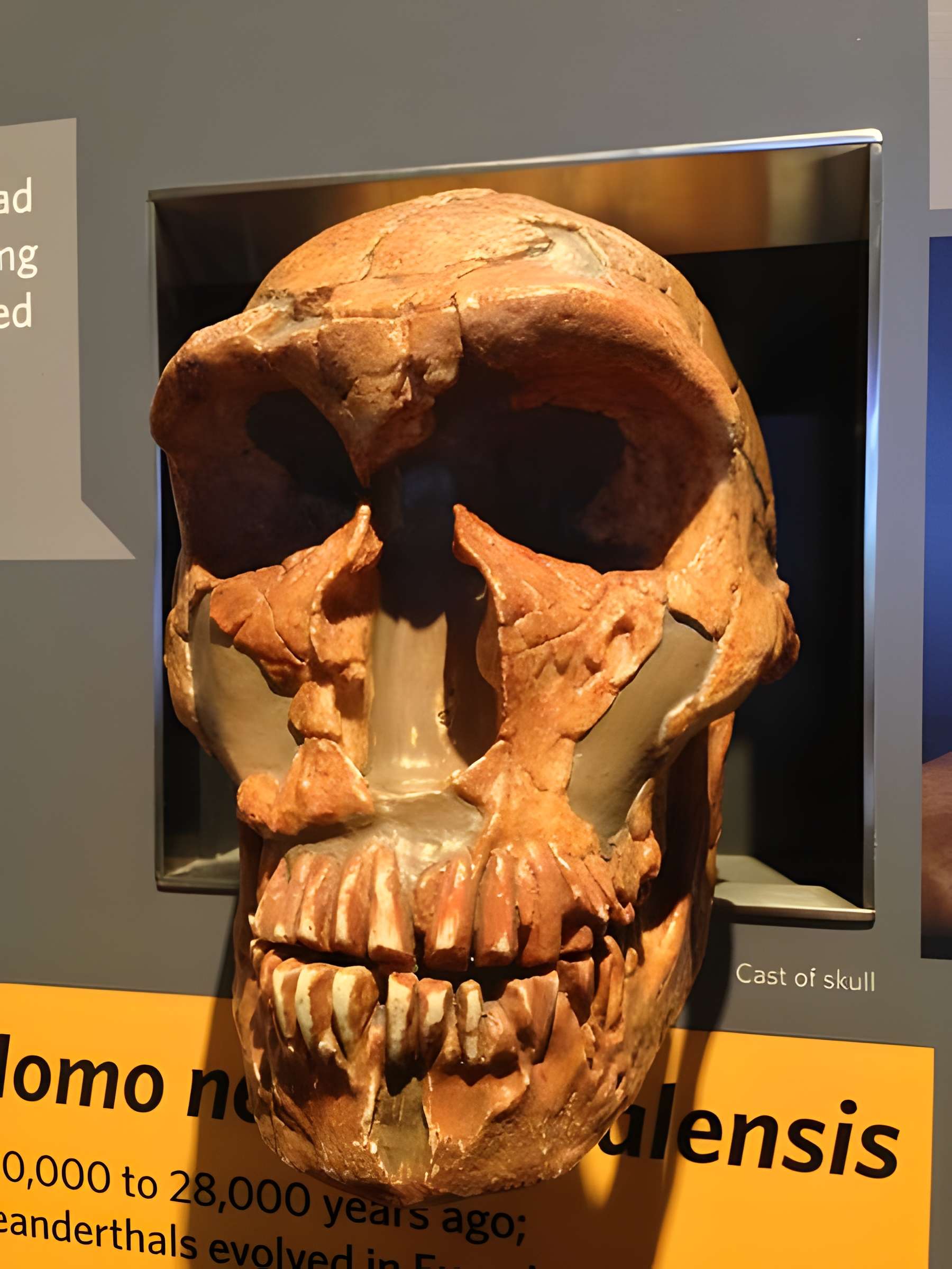 Gisement préhistorique de la Ferrassie à Savignac-de-Miremont