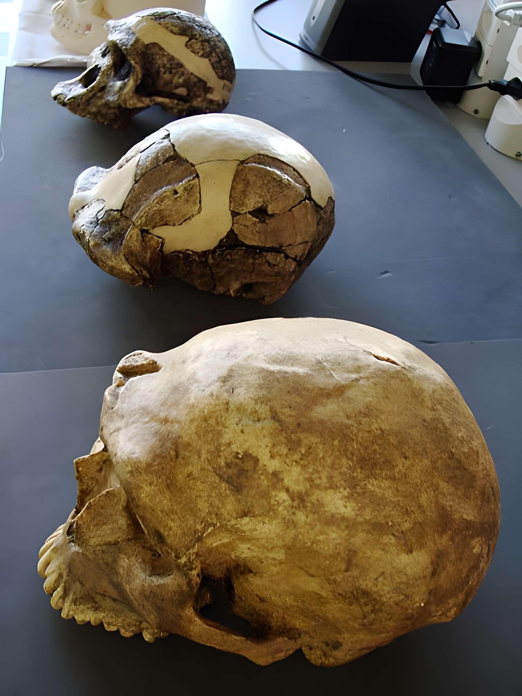 Gisement préhistorique de la Ferrassie à Savignac-de-Miremont