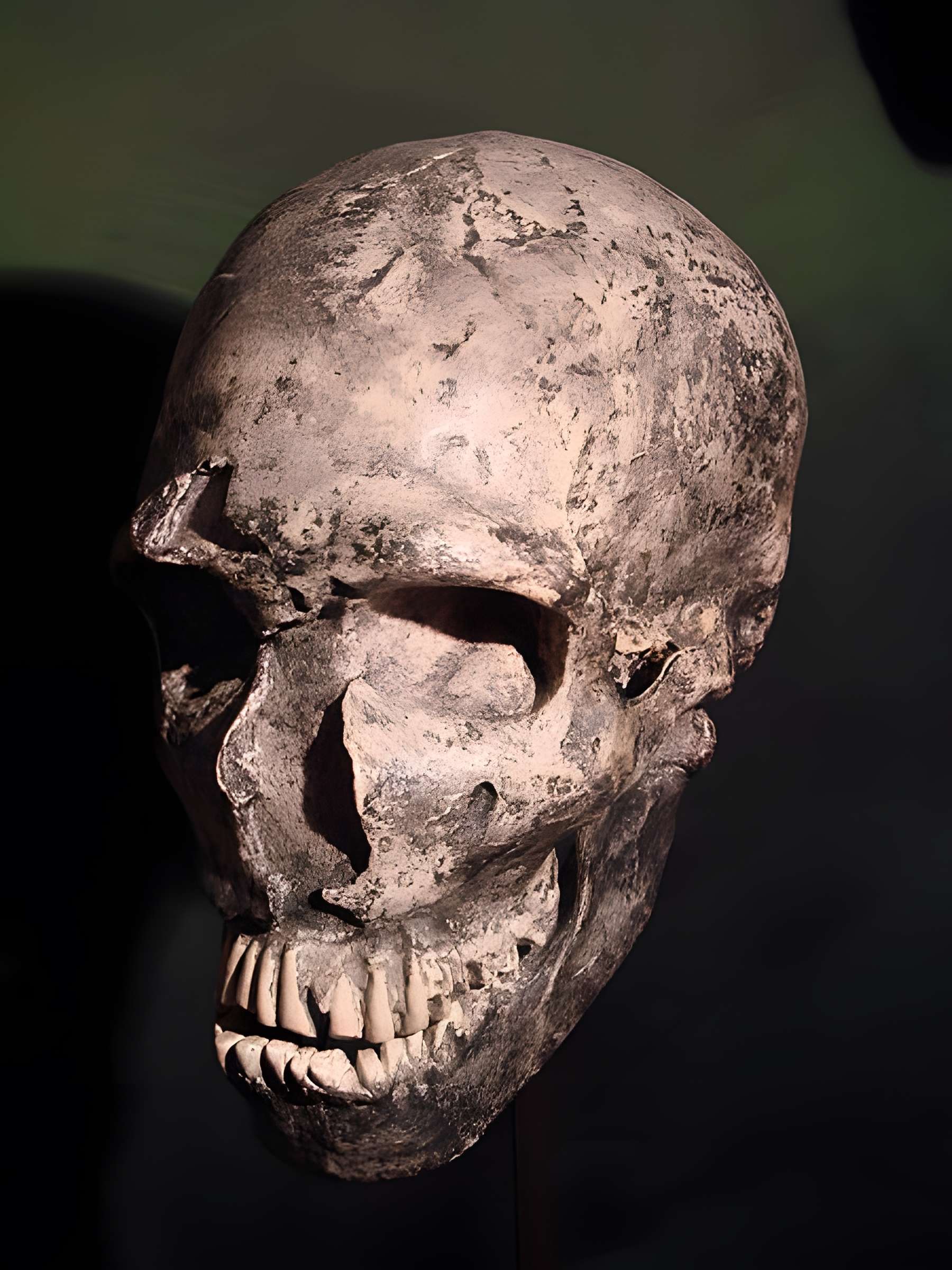 Gisement préhistorique de la Ferrassie à Savignac-de-Miremont