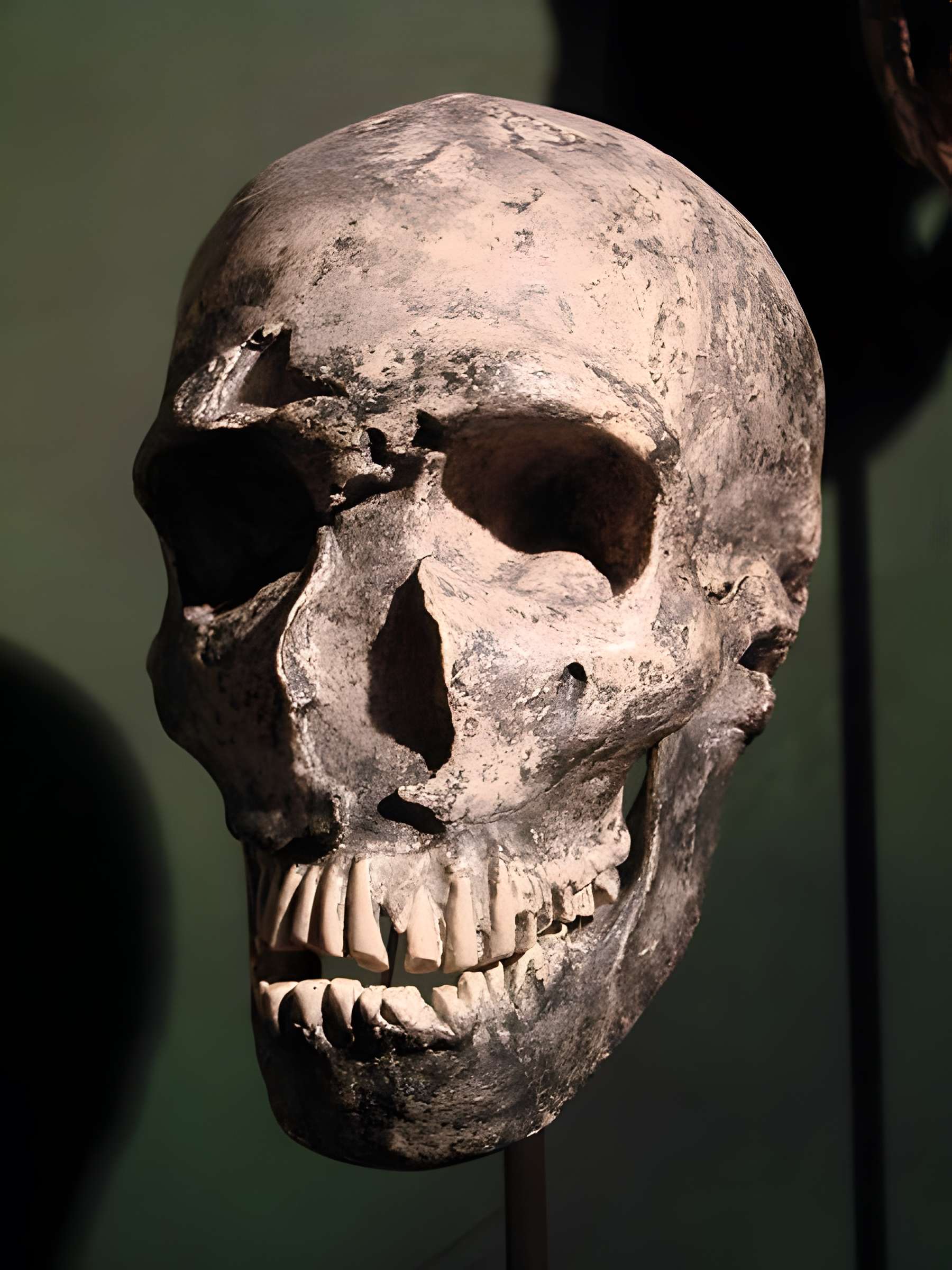 Gisement préhistorique de la Ferrassie à Savignac-de-Miremont