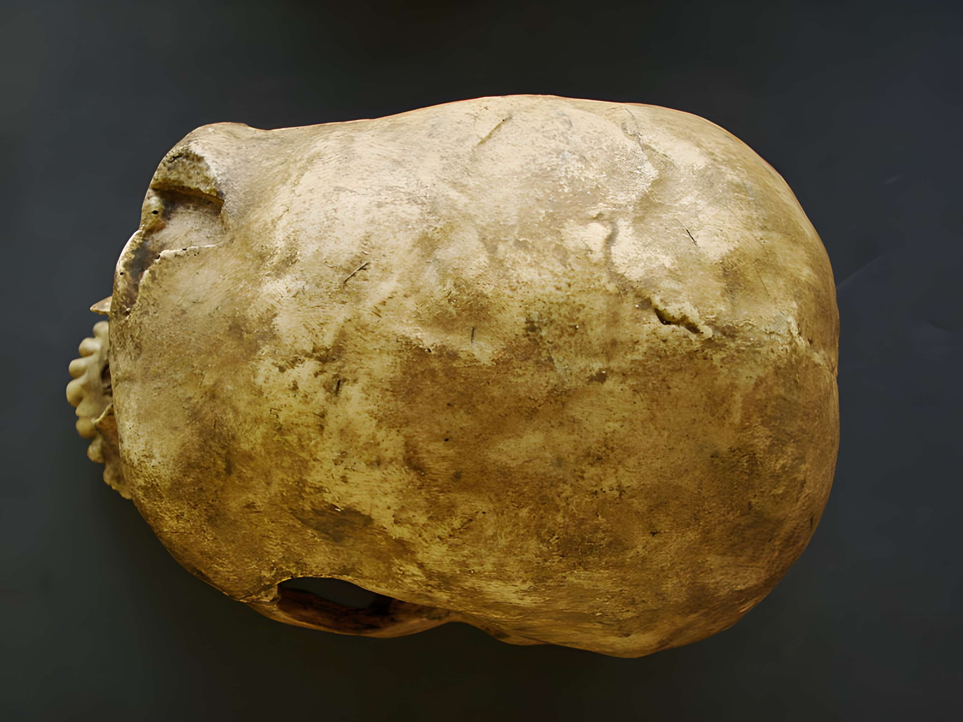 Gisement préhistorique de la Ferrassie à Savignac-de-Miremont