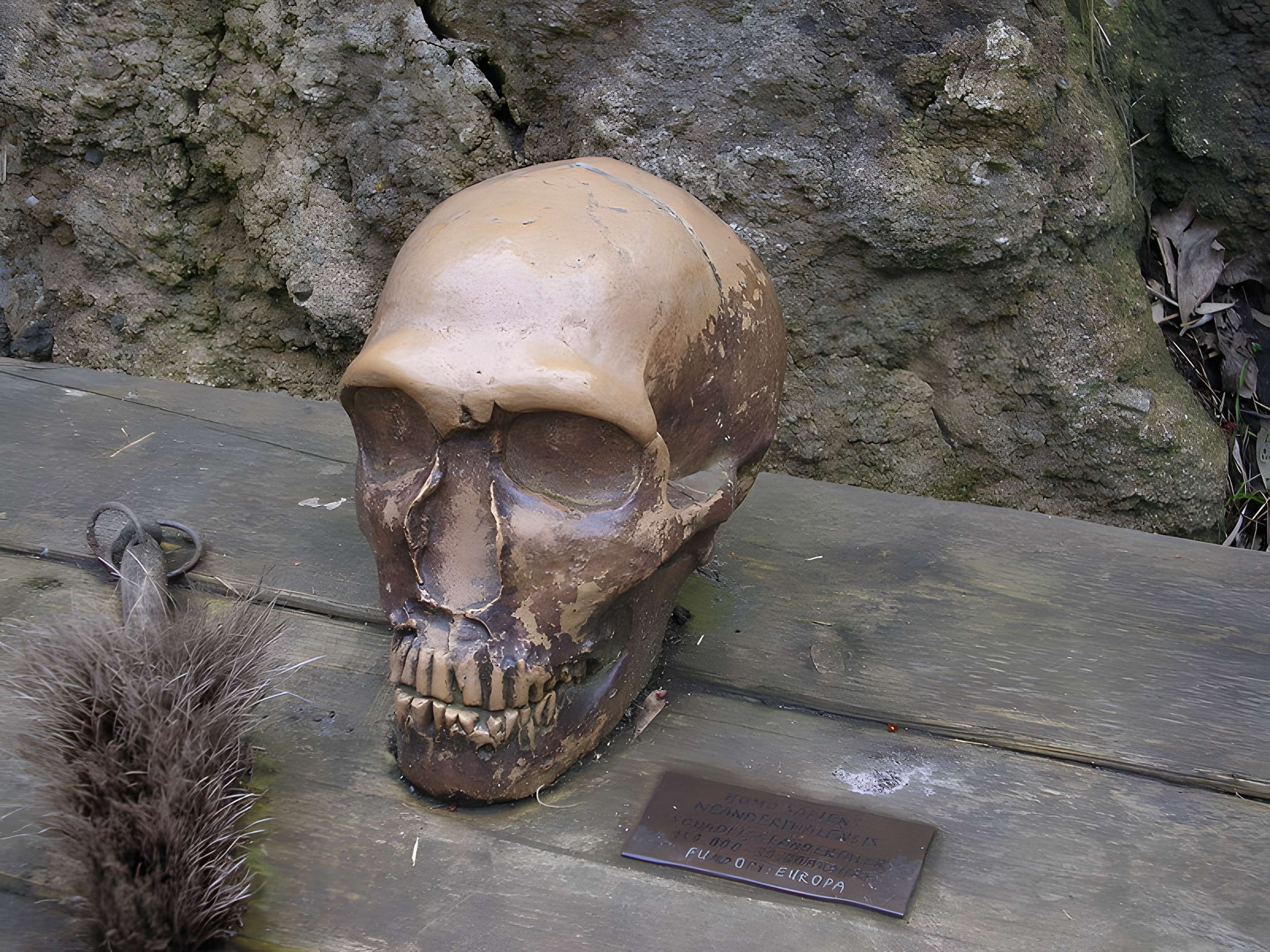 Gisement préhistorique de la Ferrassie à Savignac-de-Miremont