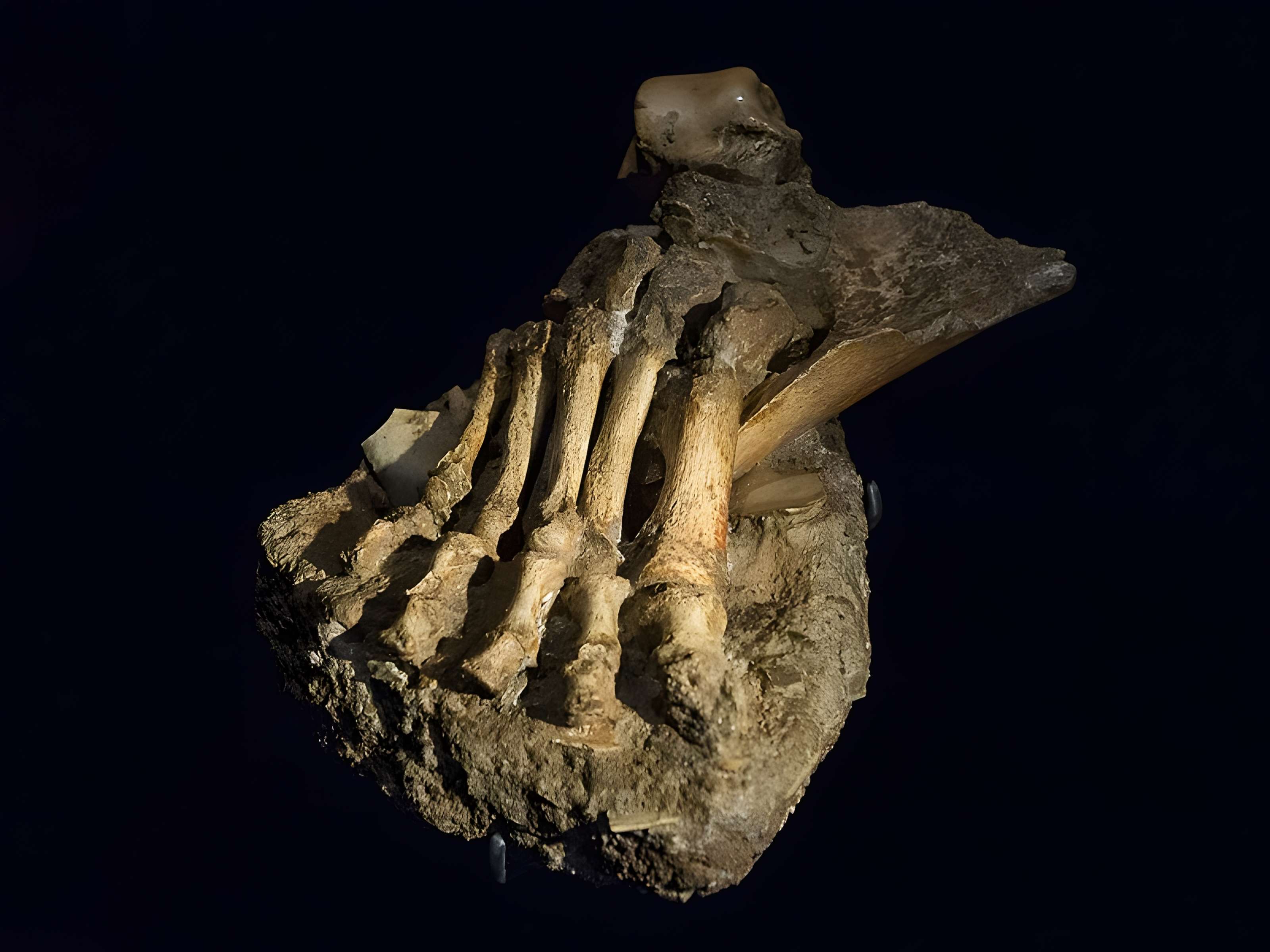 Gisement préhistorique de la Ferrassie à Savignac-de-Miremont