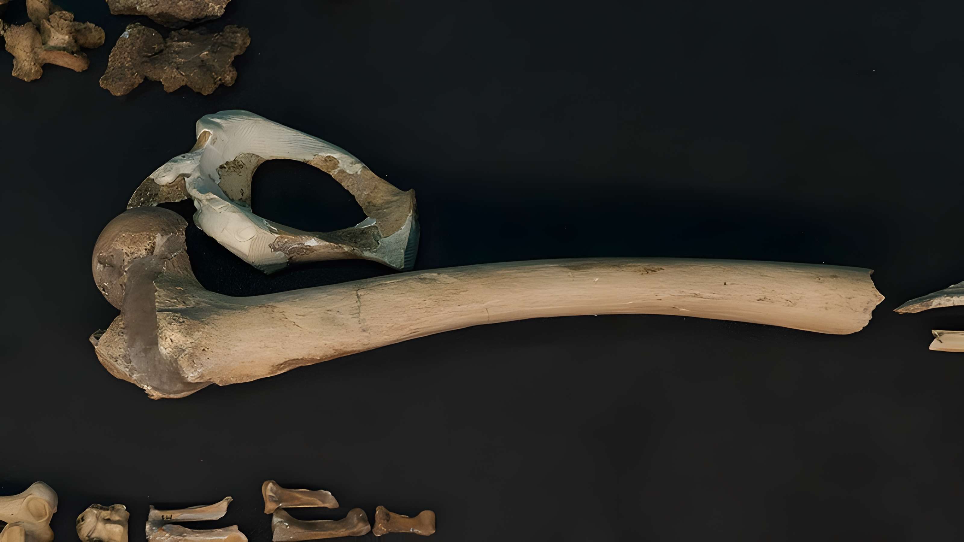 Gisement préhistorique de la Ferrassie à Savignac-de-Miremont